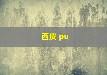 西皮 pu